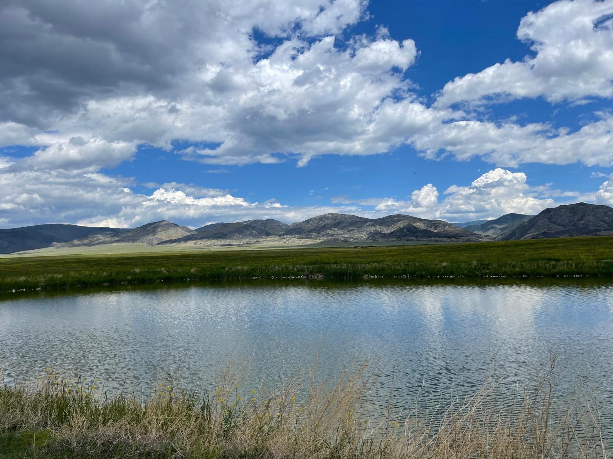 Sportsman Lodge Melrose Mt Бьютт Экстерьер фото